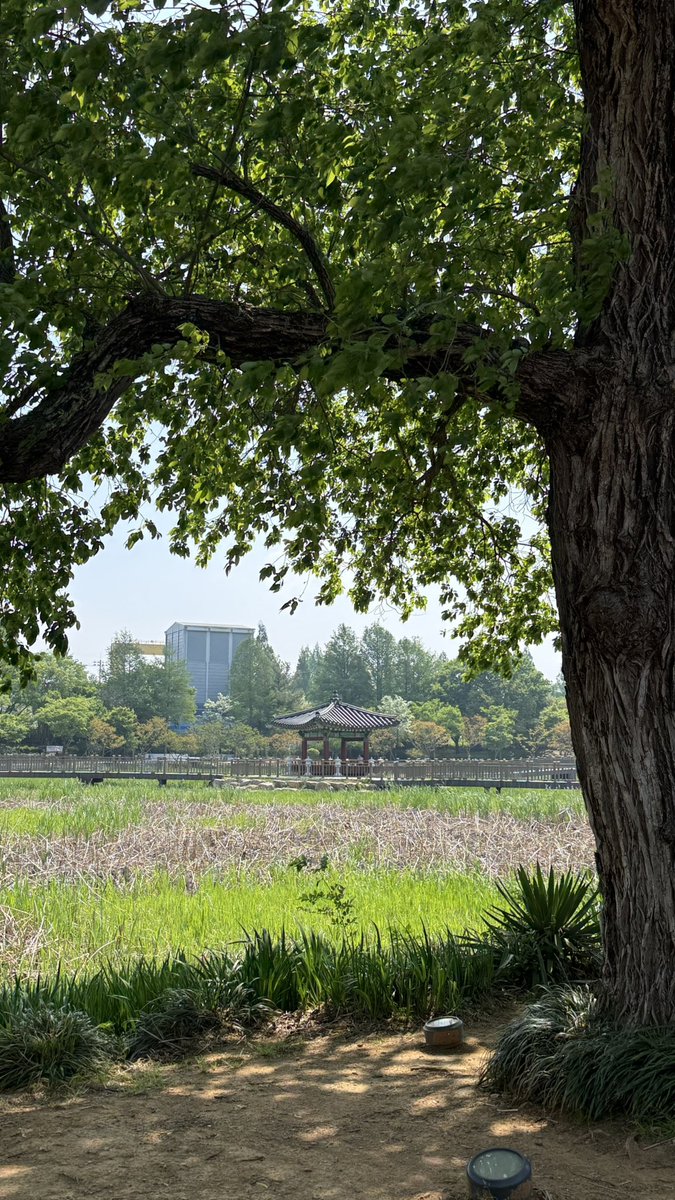 형스터 tweet media
