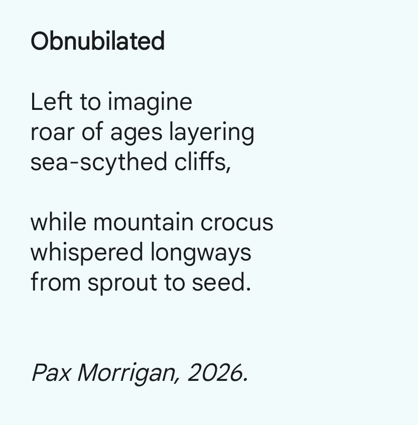 Pax Morrigan tweet media