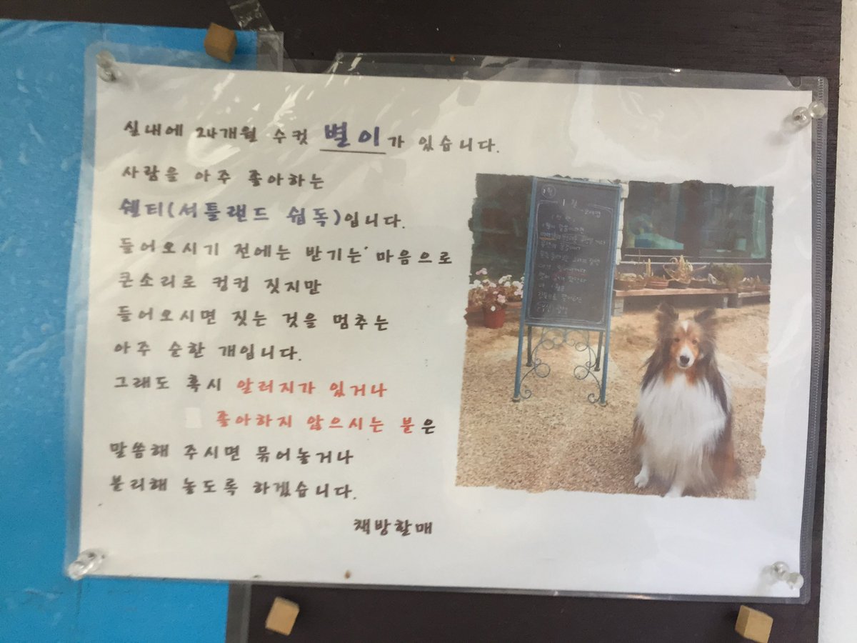 형스터 tweet media