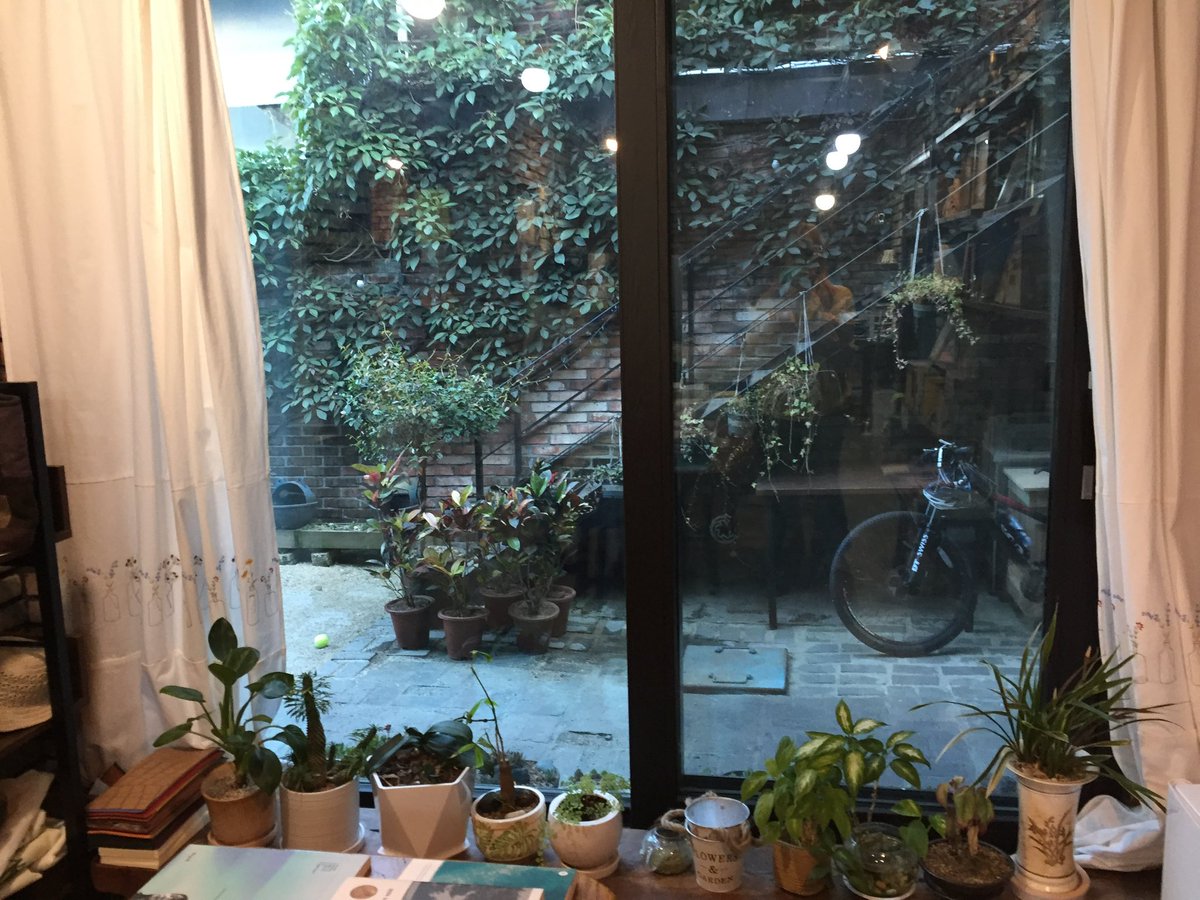 형스터 tweet media