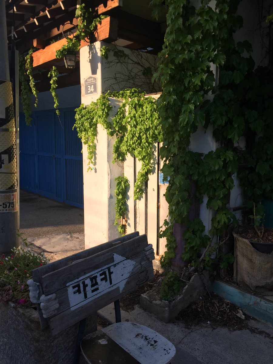 형스터 tweet media