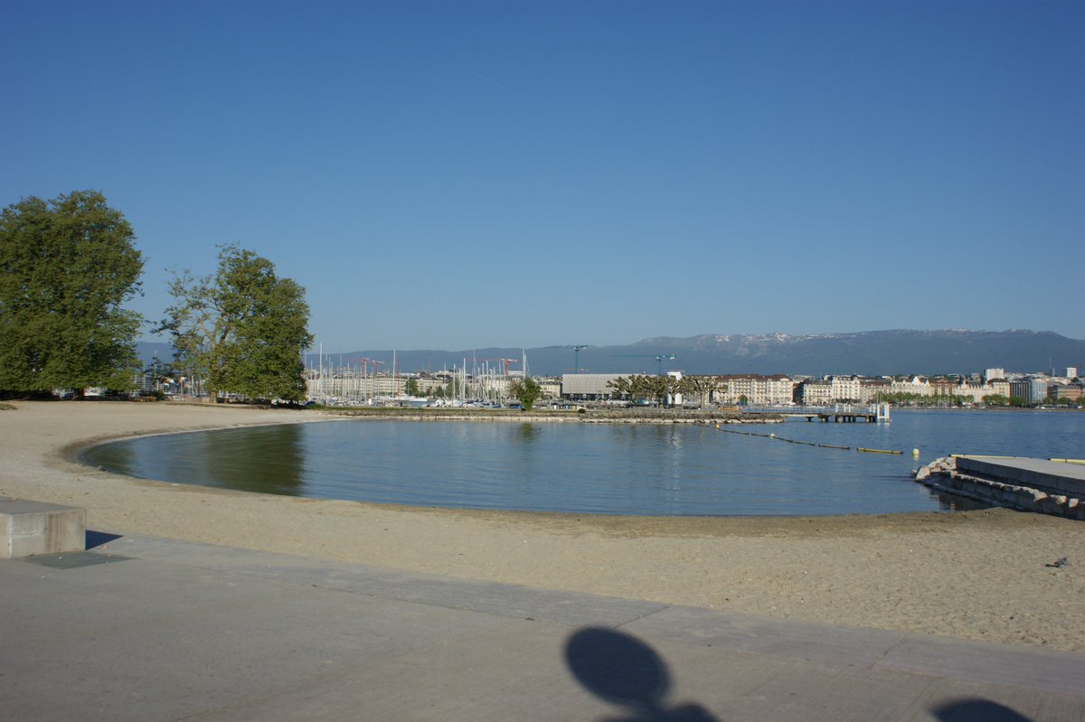 _vumedia_'s tweet image. #Geneva #Genève baignade le matin. Rive gauche.
