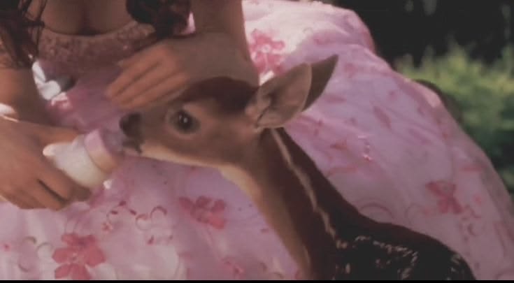 softly magical°🦢♡ tweet media