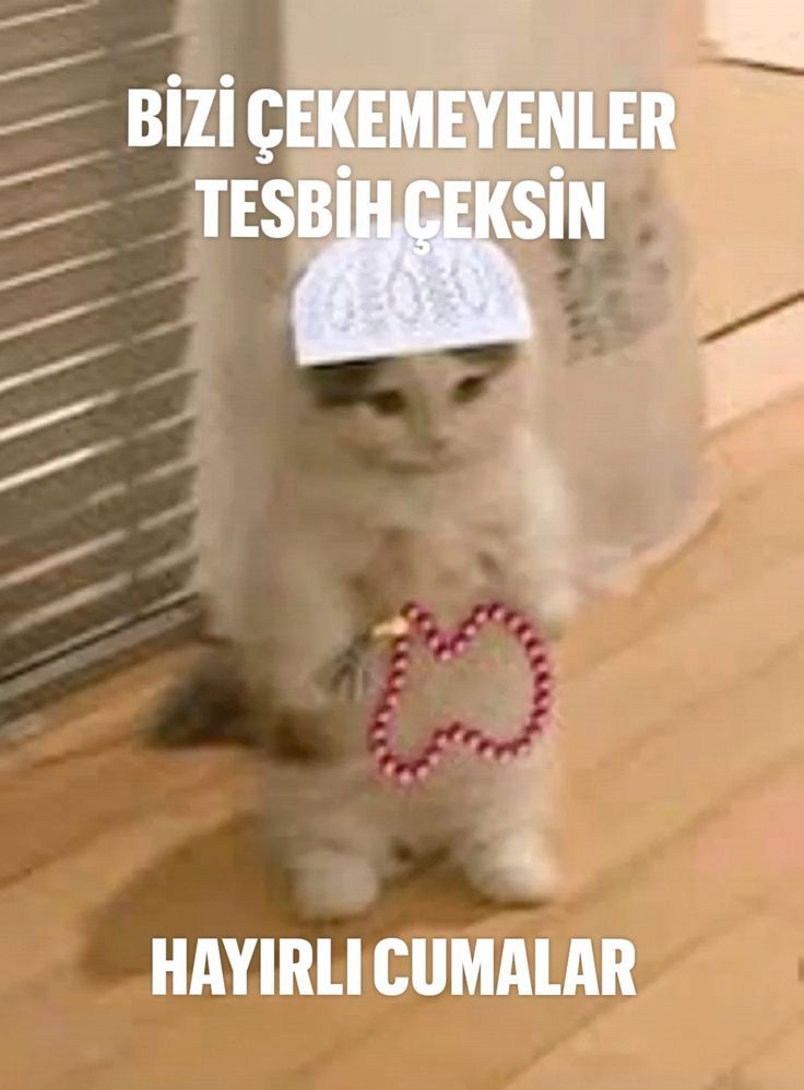 selen⚡ tweet media