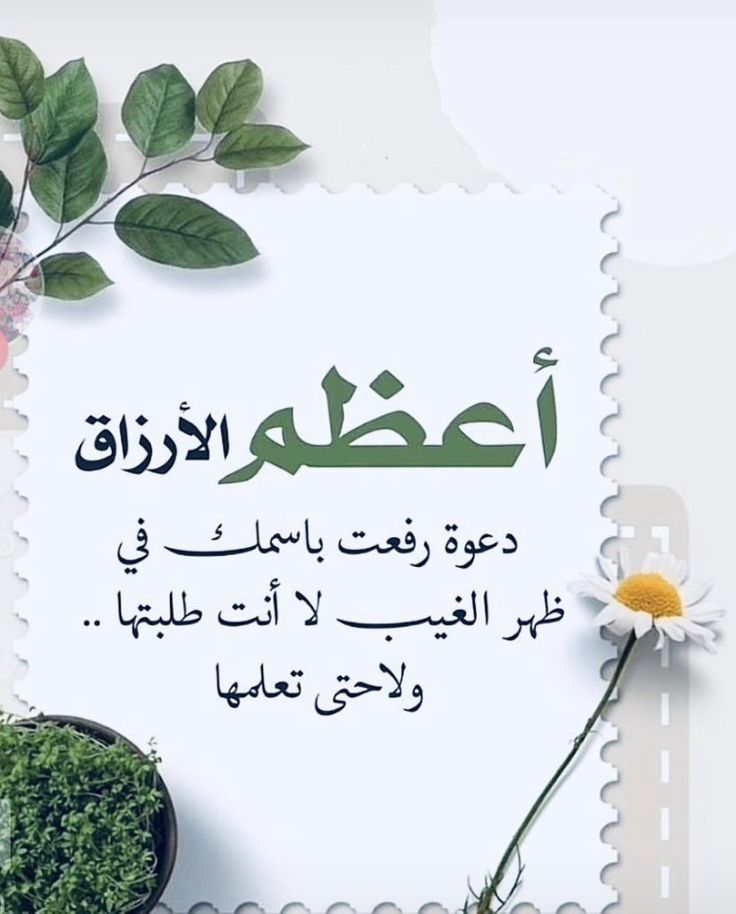 💮🌷الــــريــم🌷💮 tweet media