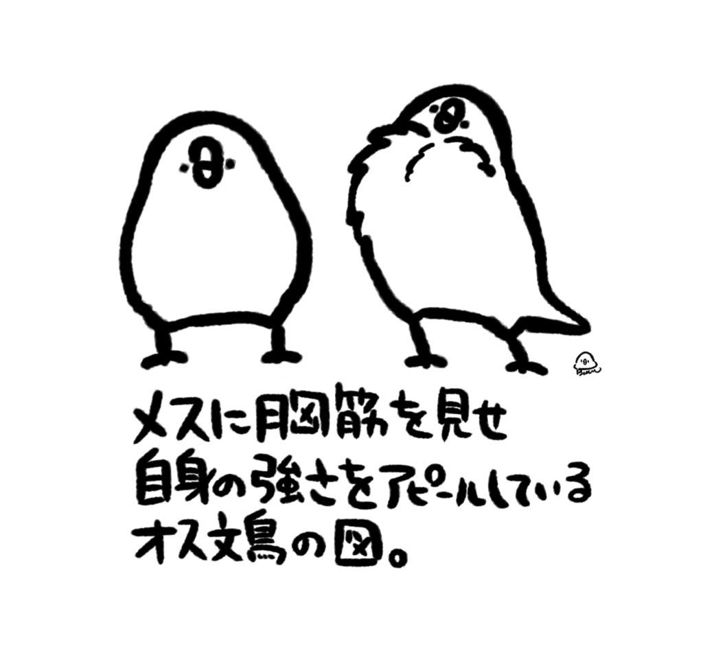 ぼぉんぶんち tweet media