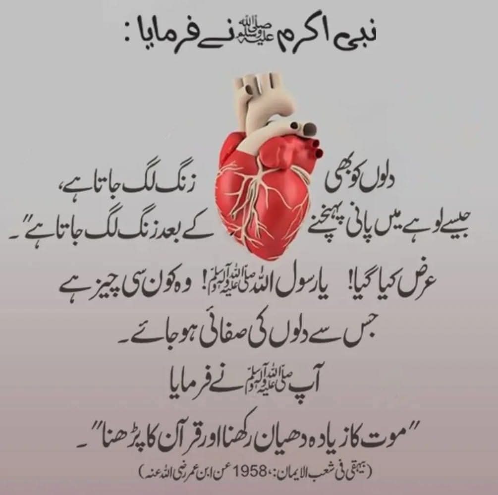 🖤ملک شـــzainـــاہ tweet media