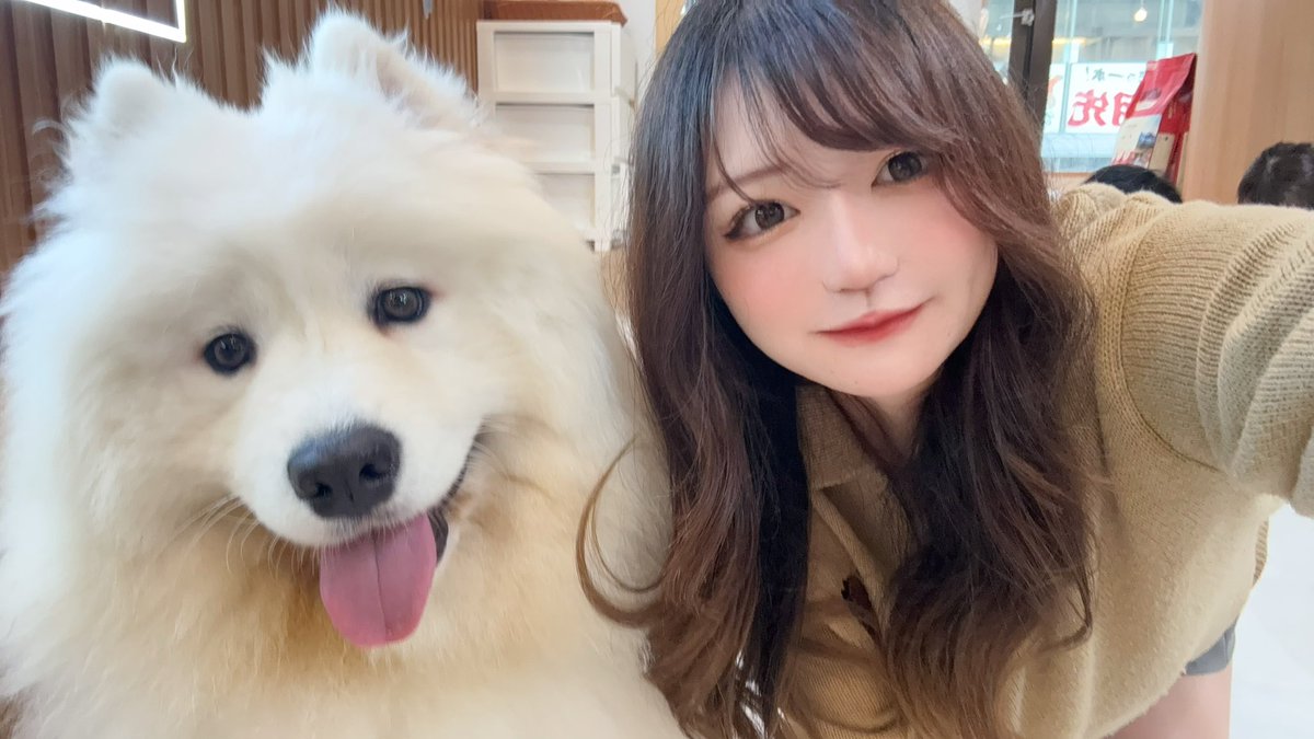 はんぺん🍢💚5/16はんぺん杯 tweet media