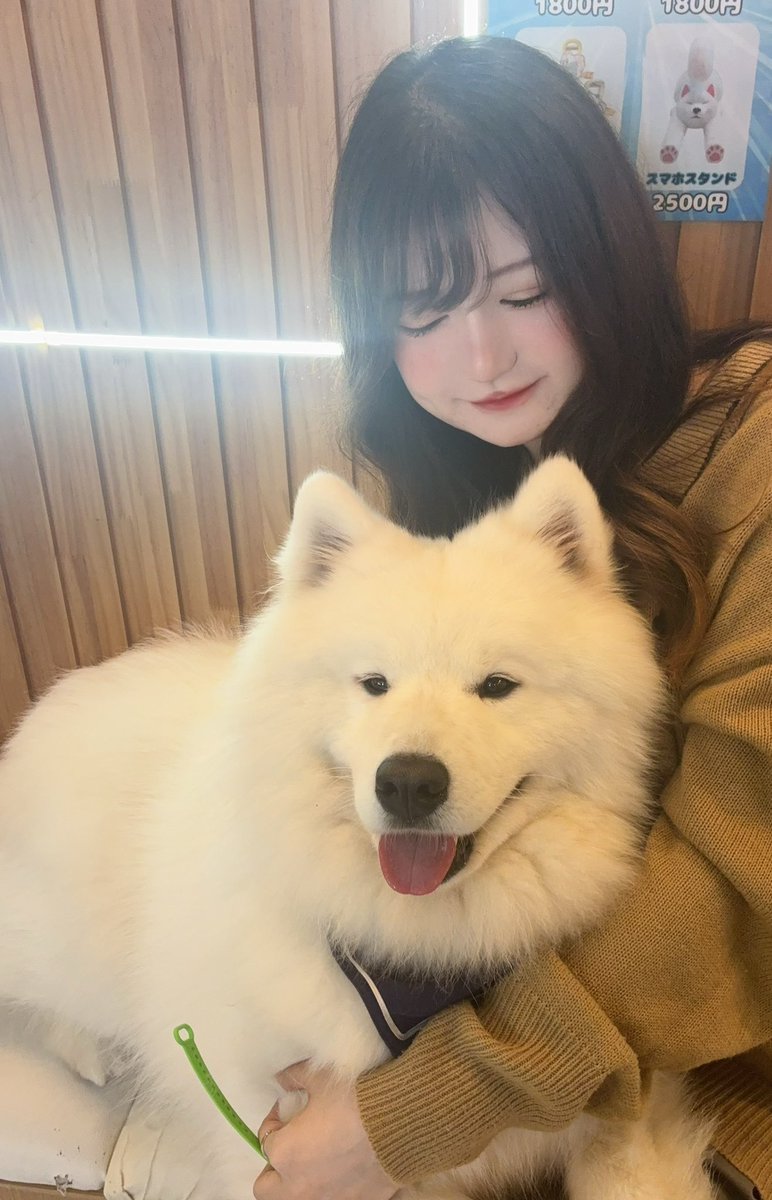 はんぺん🍢💚5/16はんぺん杯 tweet media