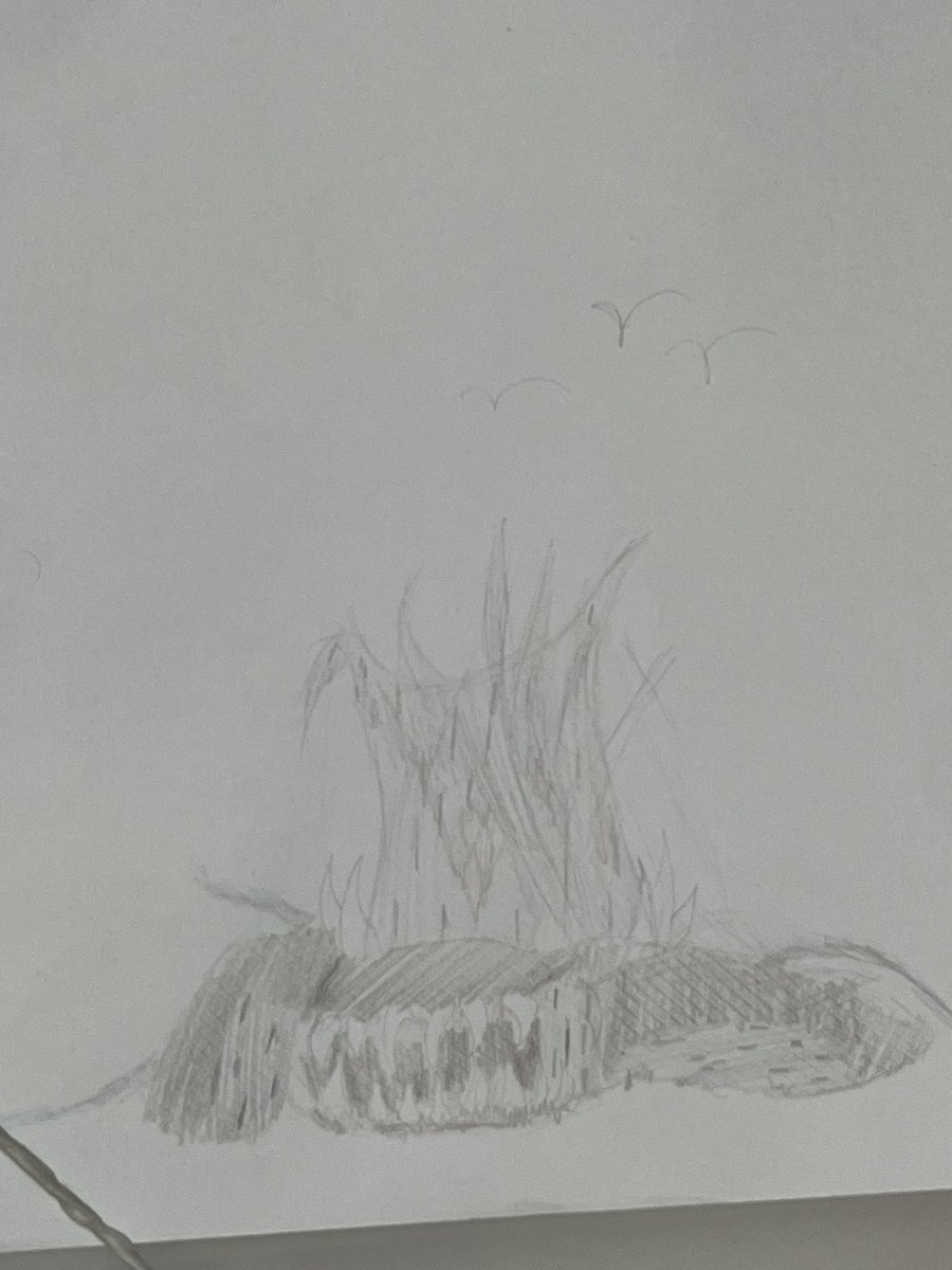 news_of_dismay's tweet image. So apparently the #Dasher isn’t #dead? Neither I think he’s alive.
There’s seemingly a #plant growing out of them… and I don’t know how I haven’t noticed it before but in there’s #wood appearing on him. I haven’t stayed to look for to long I had an #eerie feeling around it