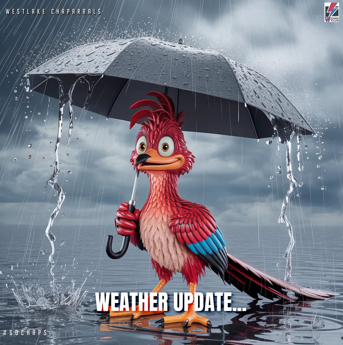 WestlakeNation tweet media