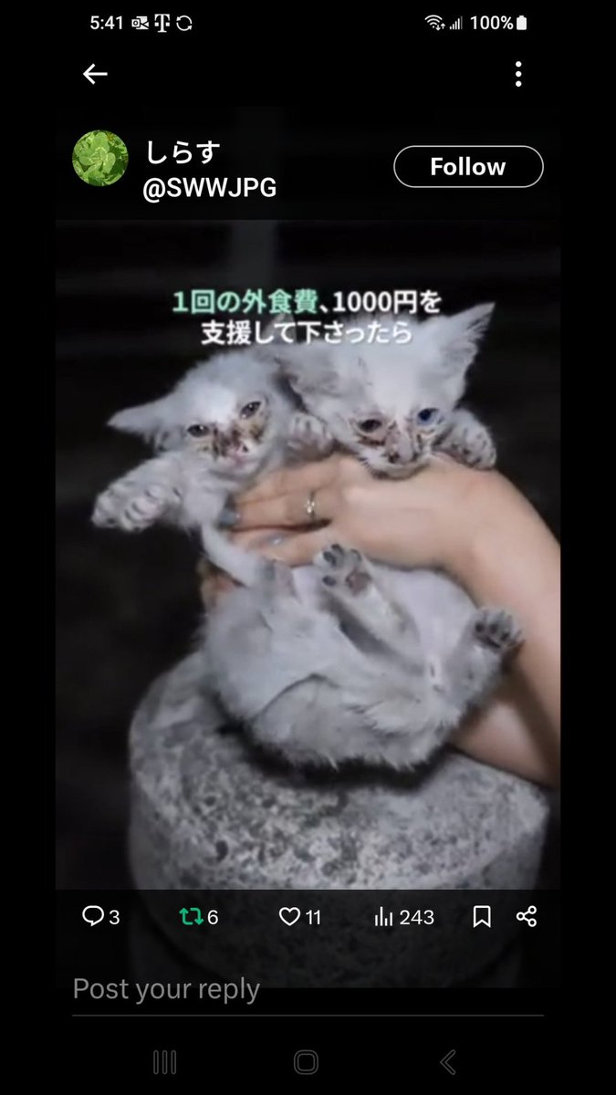 デビさん tweet media