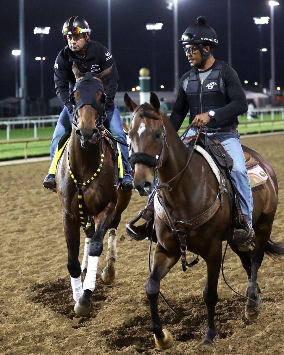 KentuckyDerby's tweet photo. Meet Robusta! 🤝

Welcome to the Kentucky Derby https://t.co/s7bcficZ2B