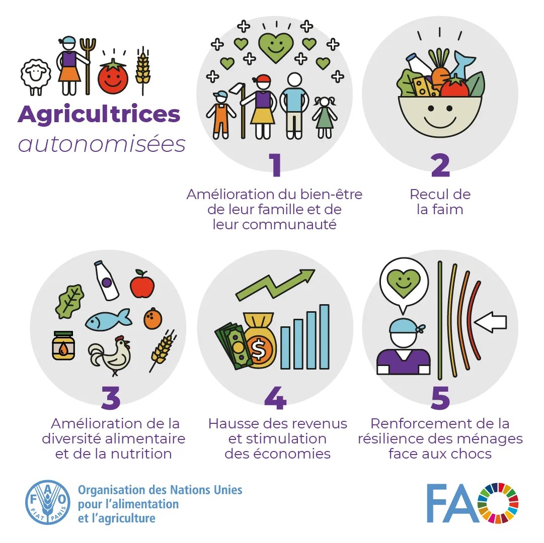 FAO en français tweet media