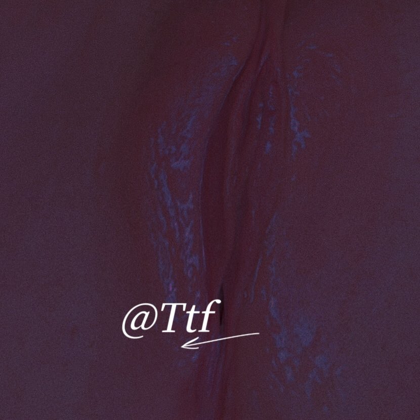 Ttf tweet media