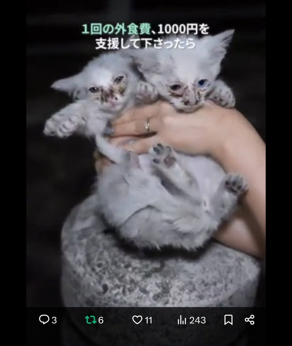 デビさん tweet media