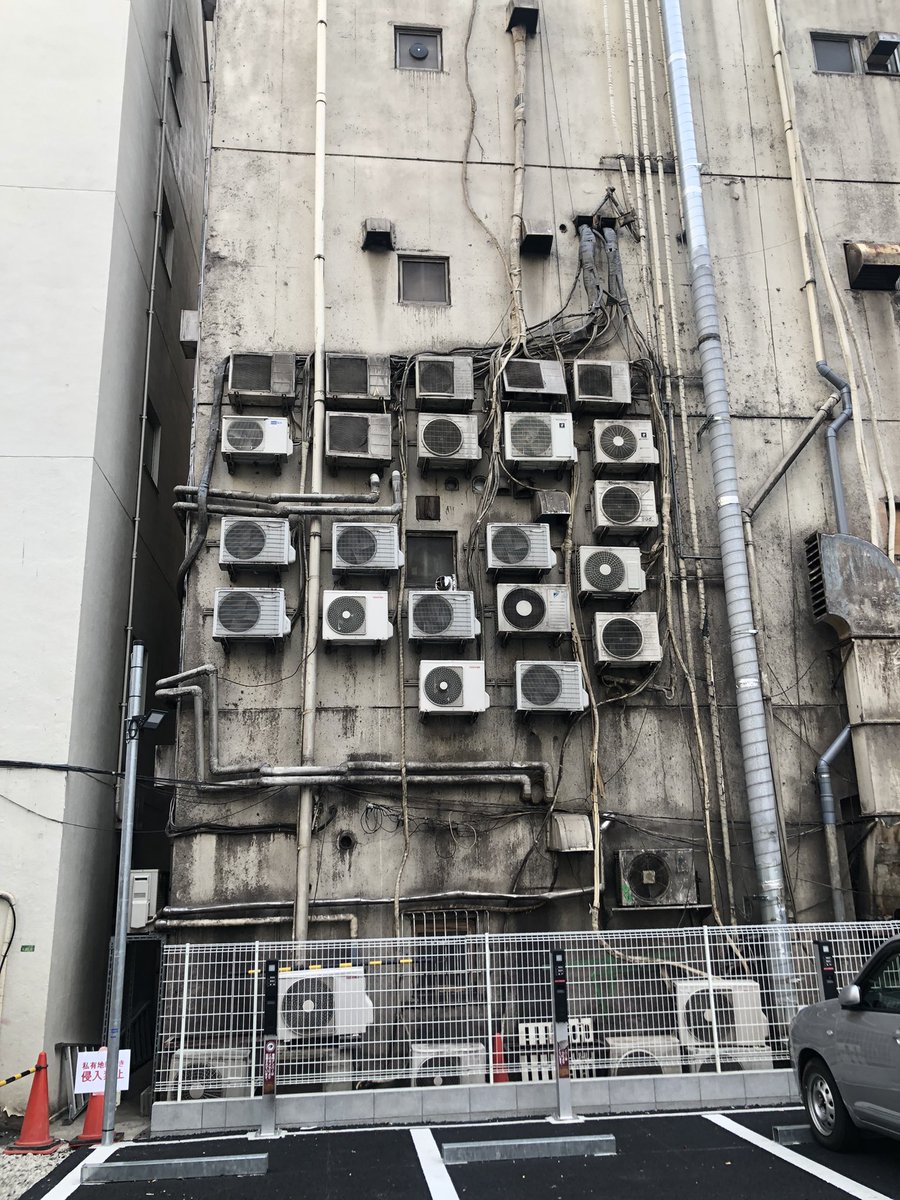 願人叶人。 tweet media