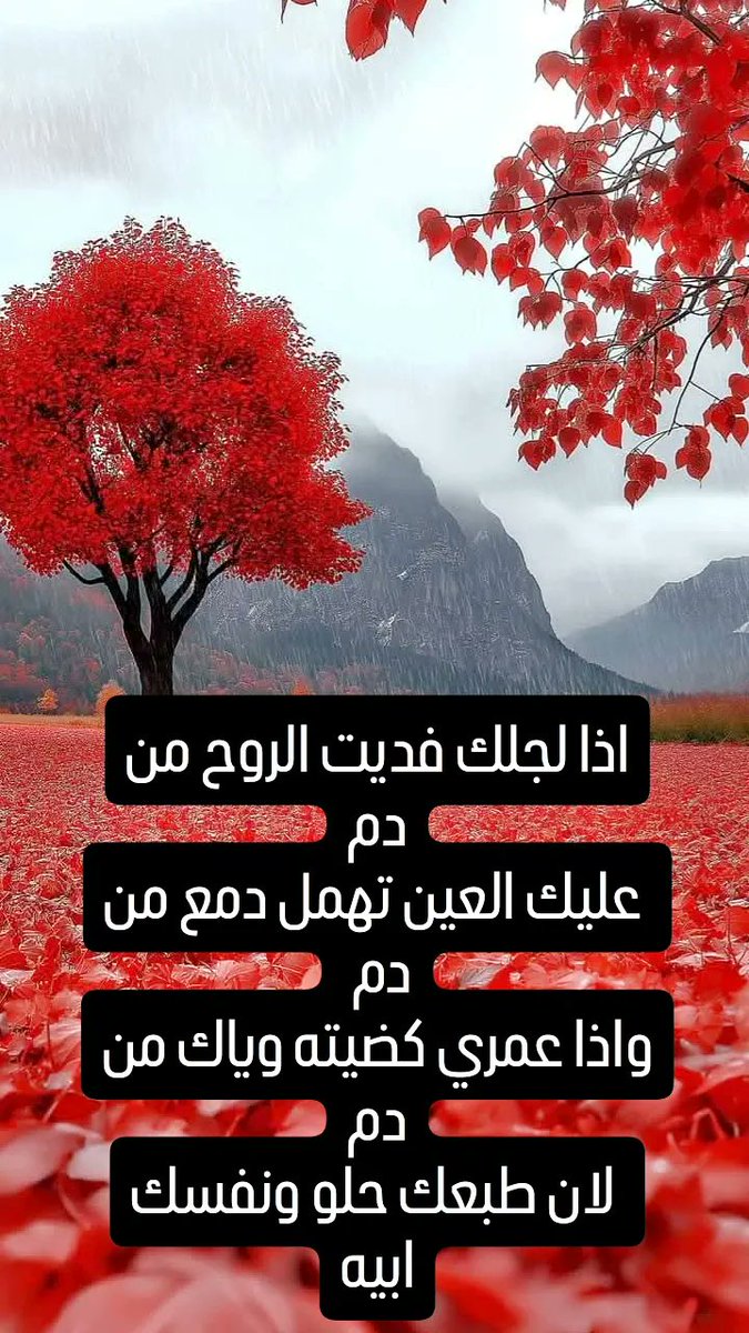 Mohamad Alwkil 2 tweet media
