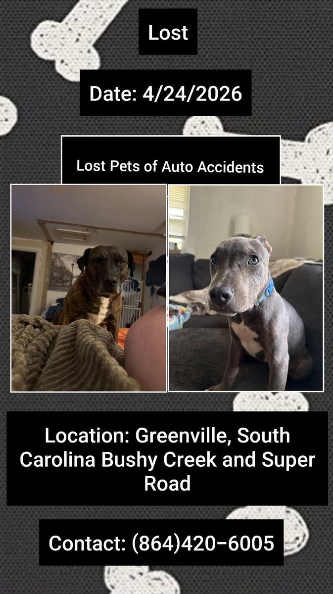 Arepaki's tweet image. Coco (on left) who ran off after a car rollover has been found and is Home! Jade(gray dog on right) still missing. #SouthCarolina #SC #Greenville #Lostdog
Thank You for sharing: