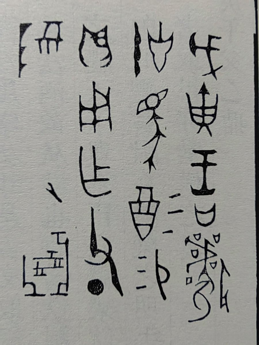 理89理64 tweet media
