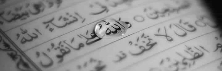 𝒎𝑶𝑶𝒏 🌓 tweet media