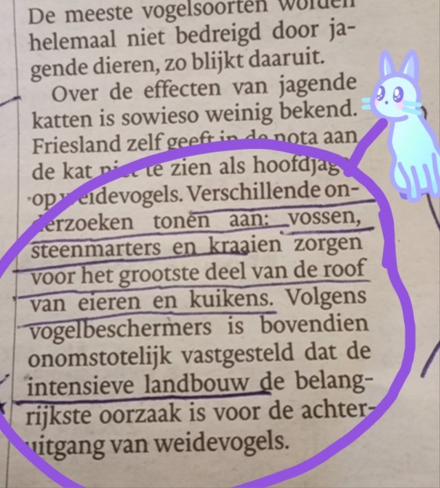 GenoegIs3440's tweet photo. Beste GS leden van de @ProvOverijssel  #Overijssel, Waarom moet ik Felix de #KAT🐈‍⬛de klos zijn terwijl ik NIET de boosdoener ben (ZIE AFBEELDINGEN)?!? 😿 Groet, Felix🐱.
@PvdDEuropa @tubantia https://t.co/0XA6CIsPpM