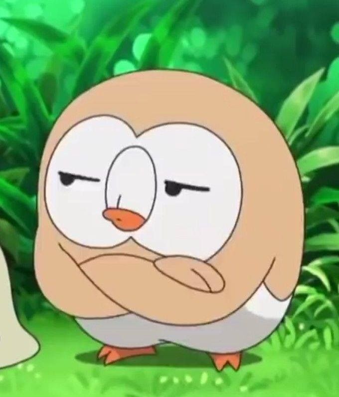 Pokémon Posts tweet media