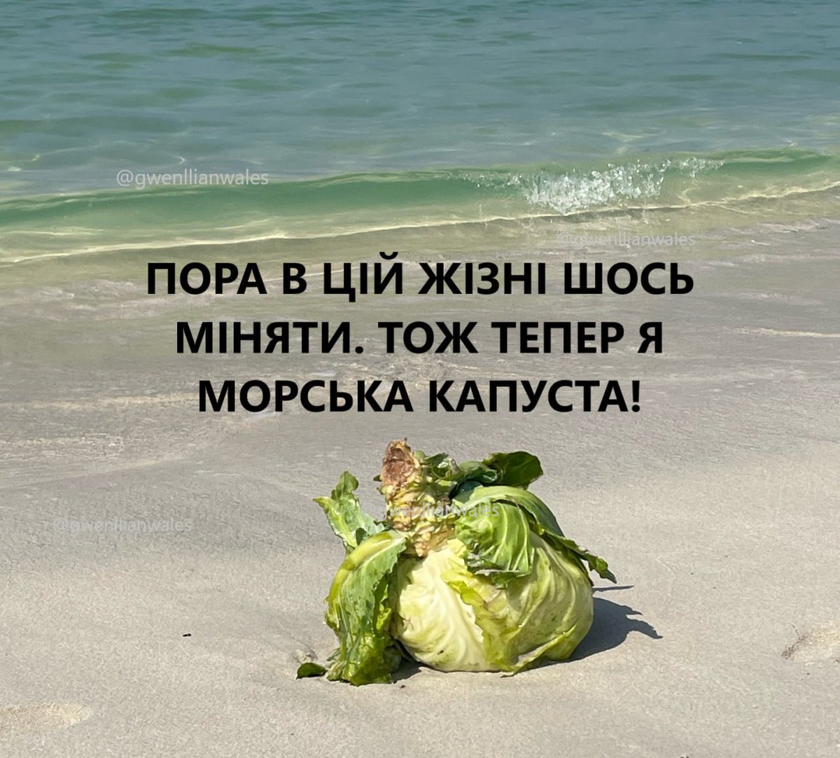 оленка змія tweet media