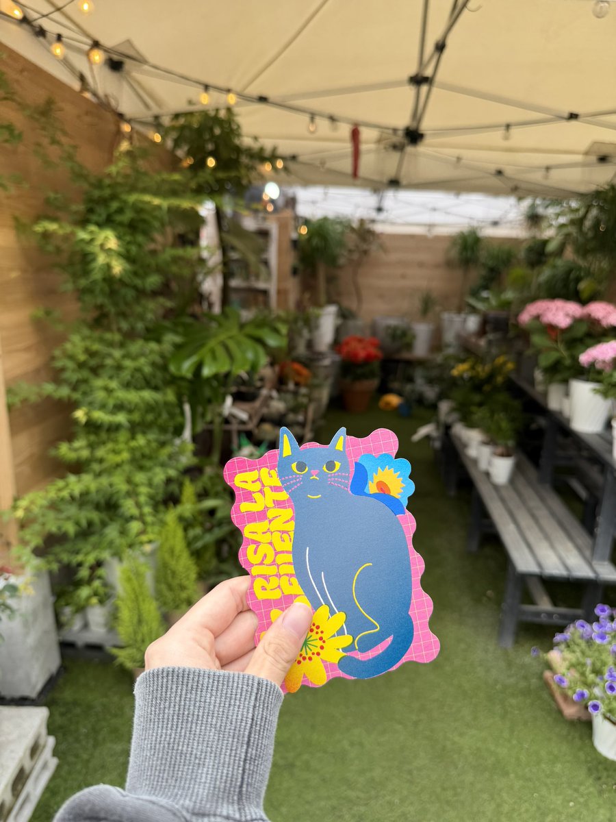 ruri_everyday's tweet photo. 新しく観葉植物ゲット🪴 https://t.co/qv2ifSTFNF