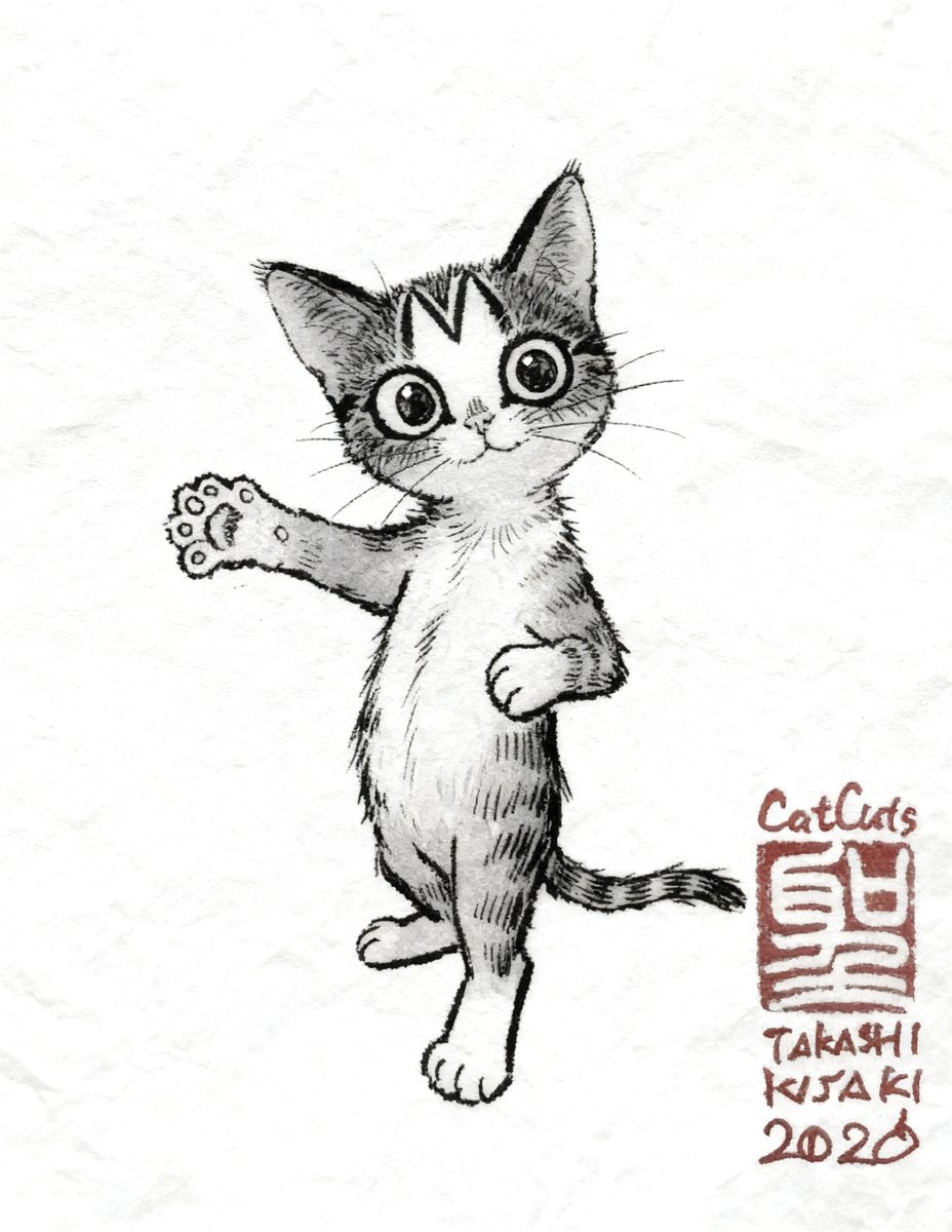 CatCuts✴︎描き猫✴︎ tweet media