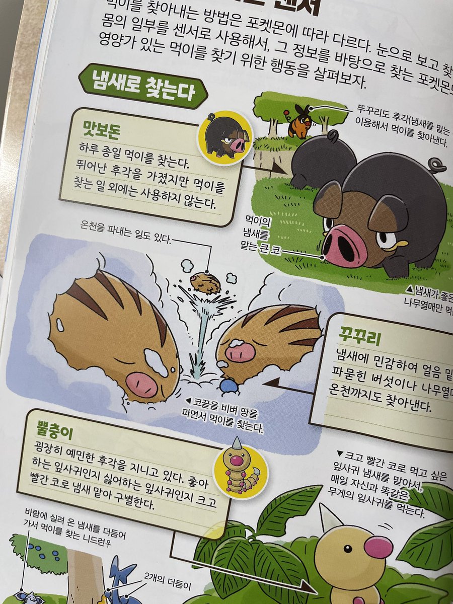 폭간이 tweet media