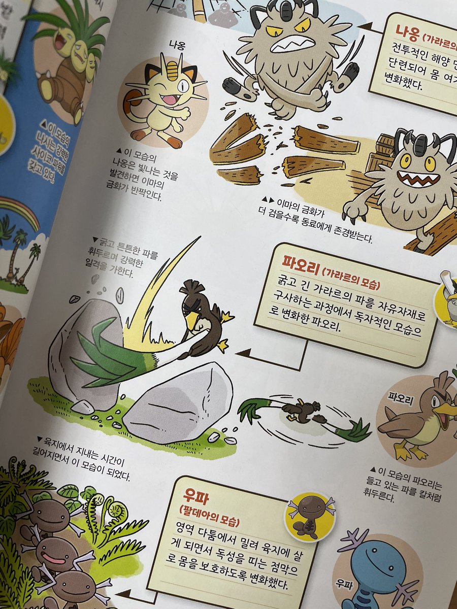 폭간이 tweet media
