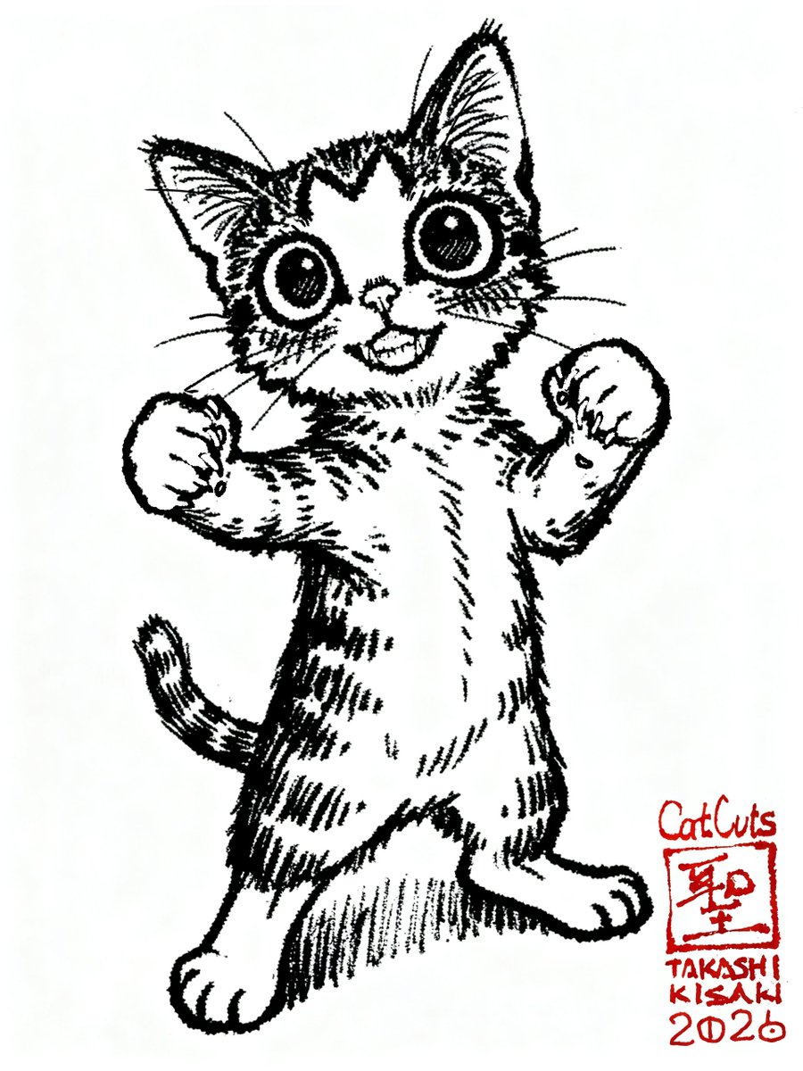 CatCuts✴︎描き猫✴︎ tweet media