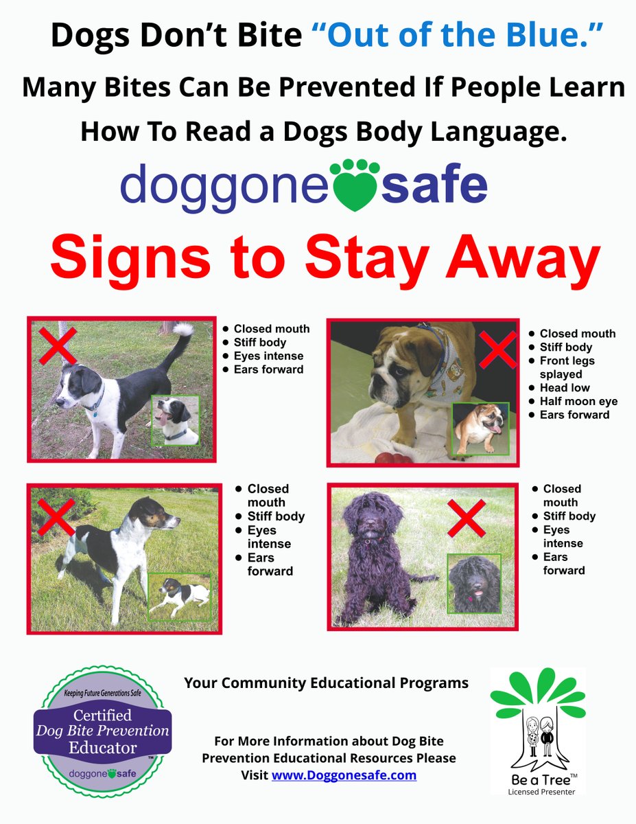 PetProfessionalGuild tweet media