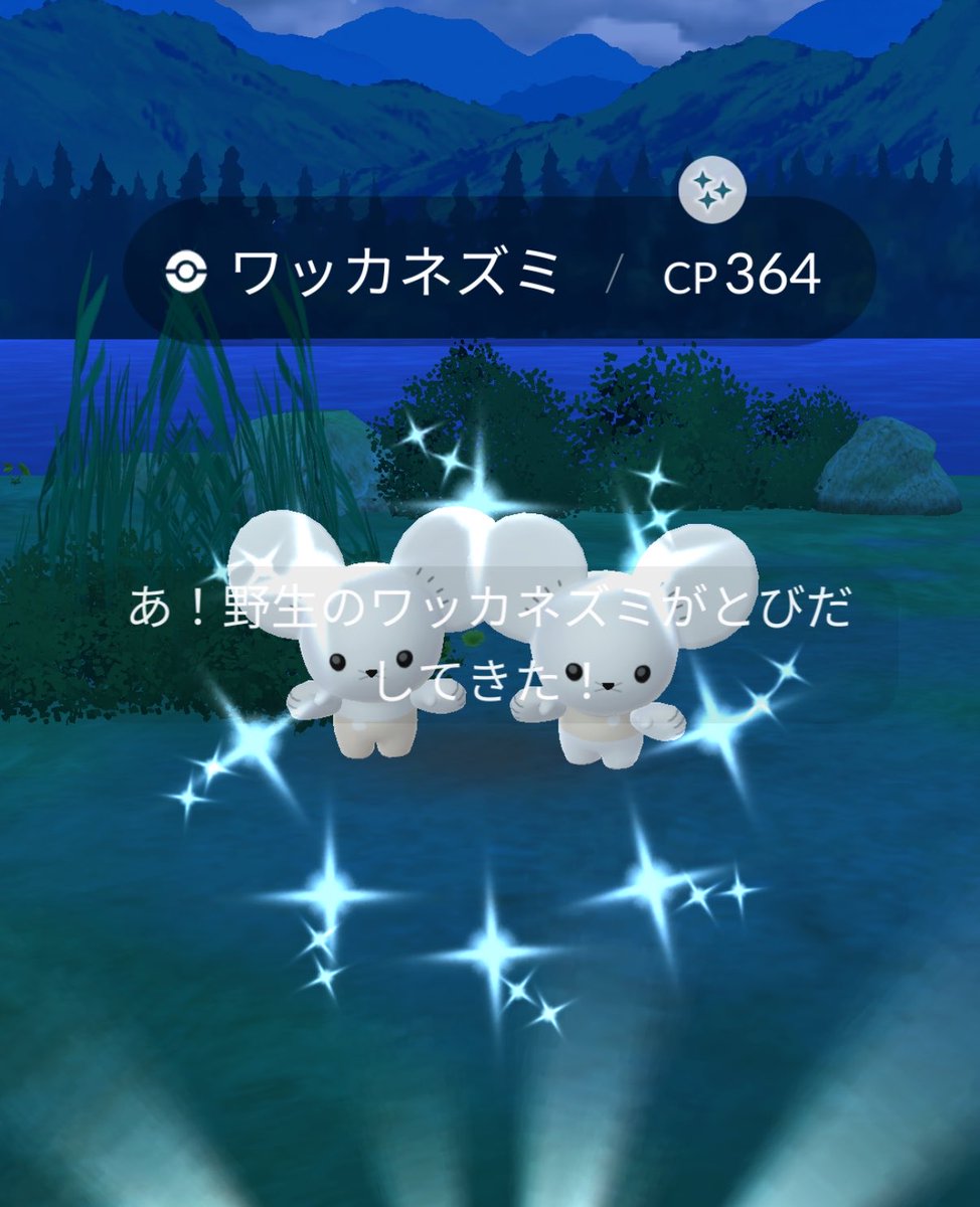 姉さん tweet media