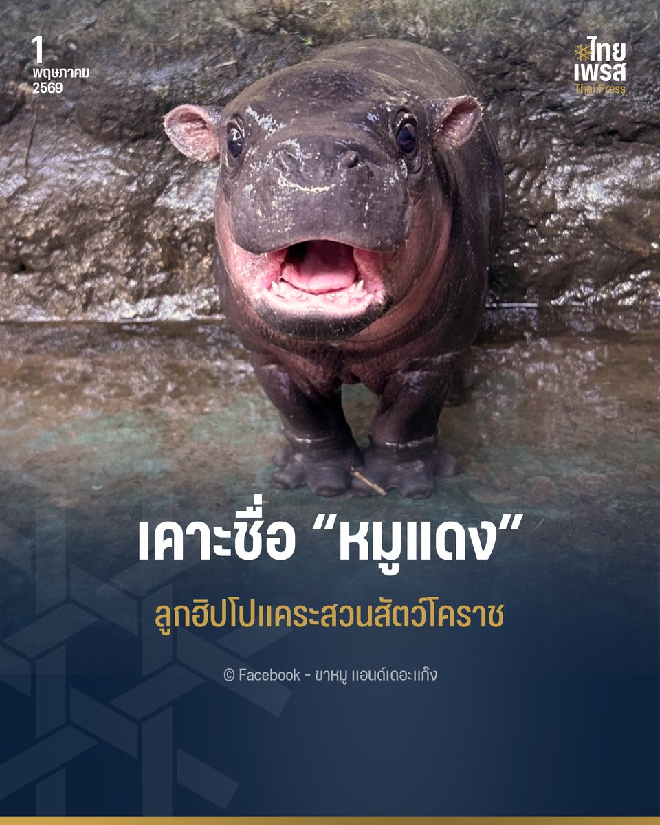 THAI PRESS tweet media
