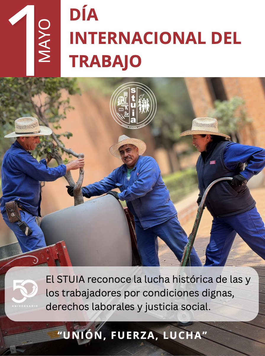 Stuia - Sindicato de la Ibero tweet media