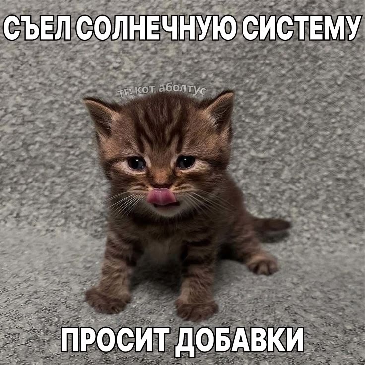 светлый русский громкий смех tweet media