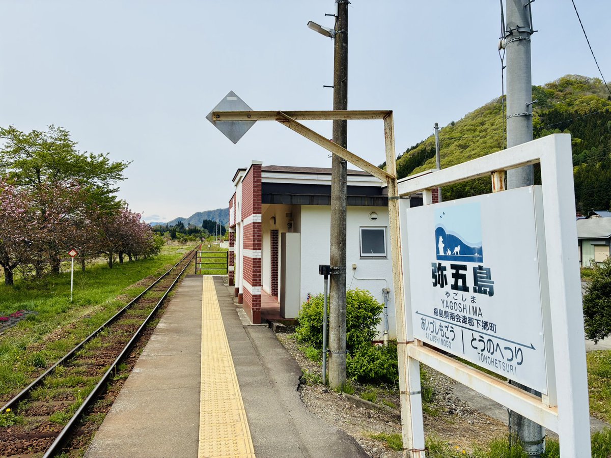 げそ tweet media