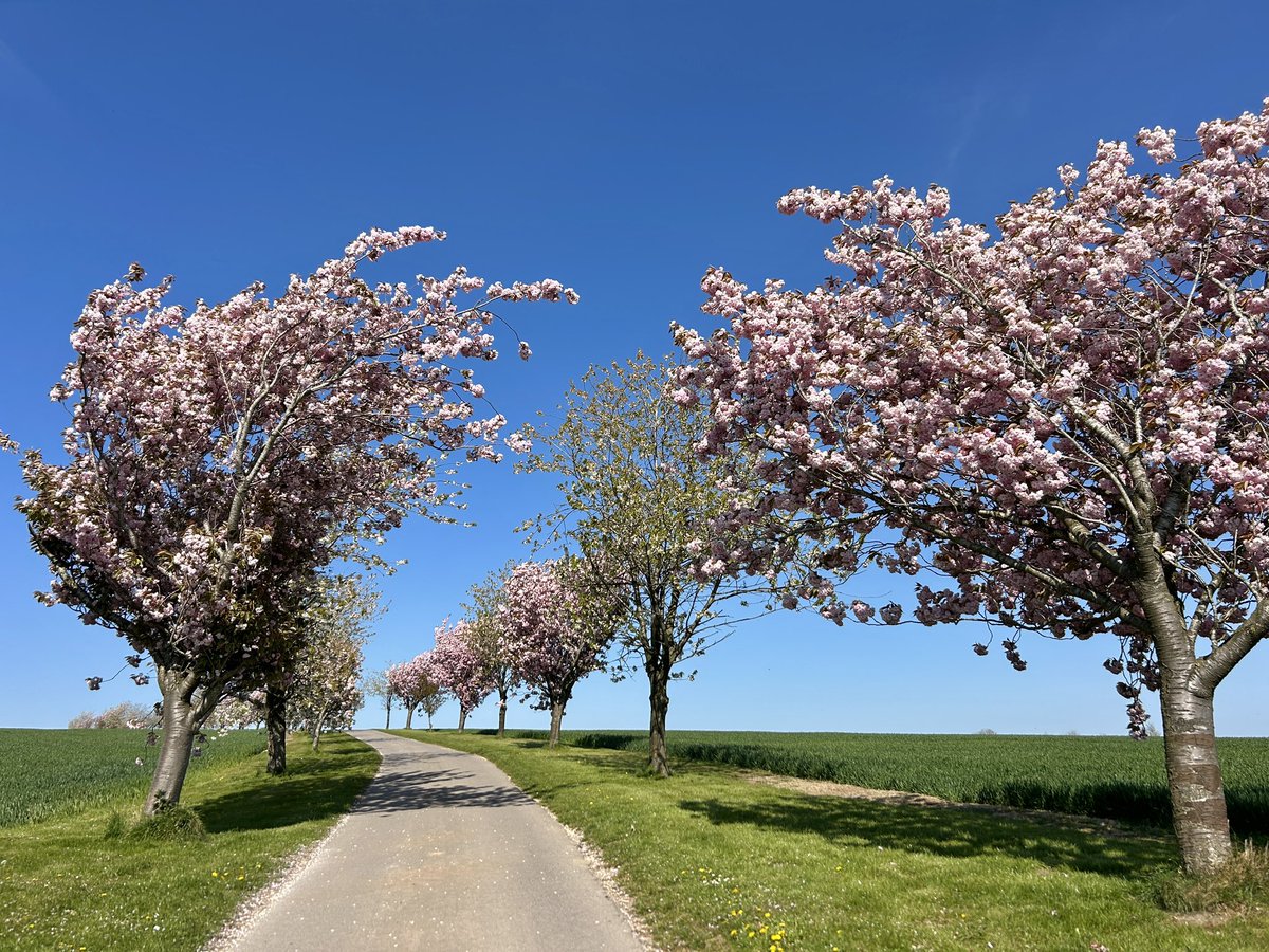 Yorkshire Wolds Weather tweet media