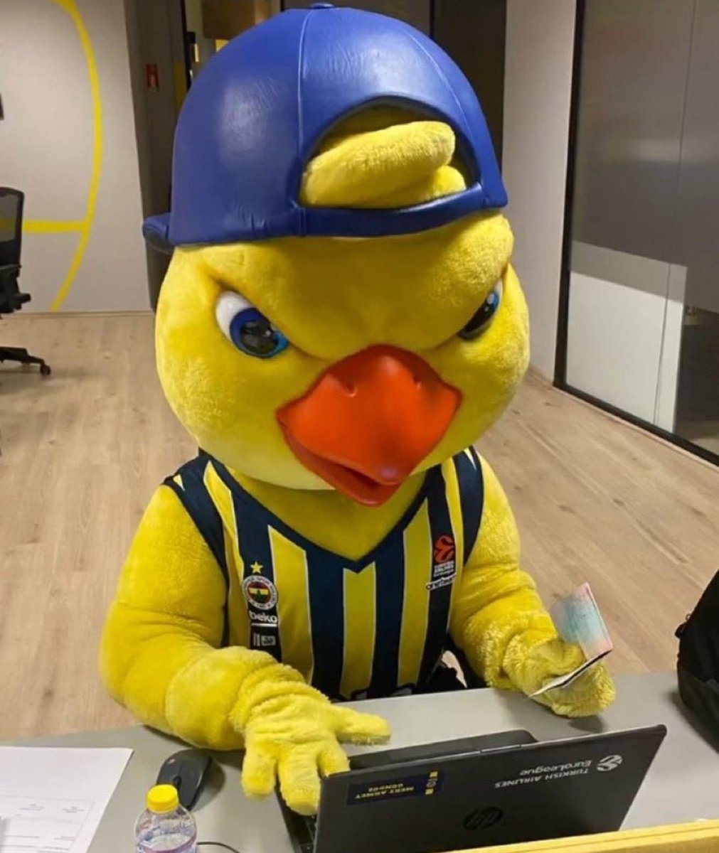 Talip-FeBaDe tweet media