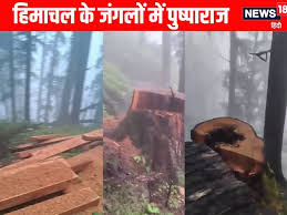 अनिल एक हिन्दू tweet media