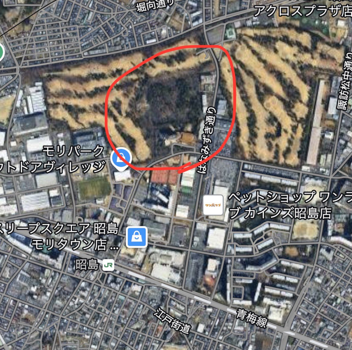 ミド建築のデマをゆるさない市民の会😉 tweet media