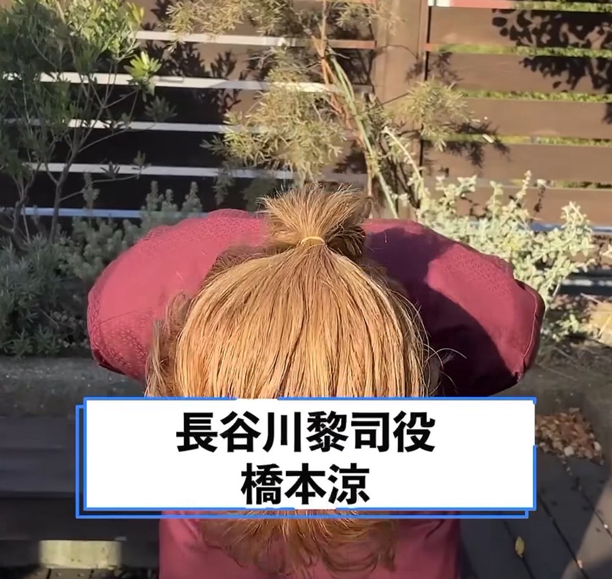 猫 tweet media