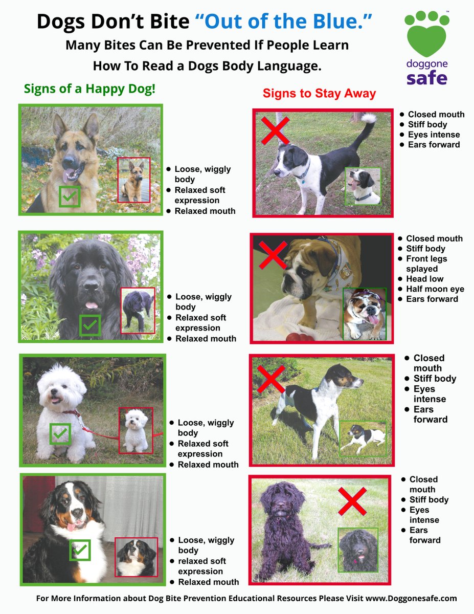 PetProfessionalGuild tweet media