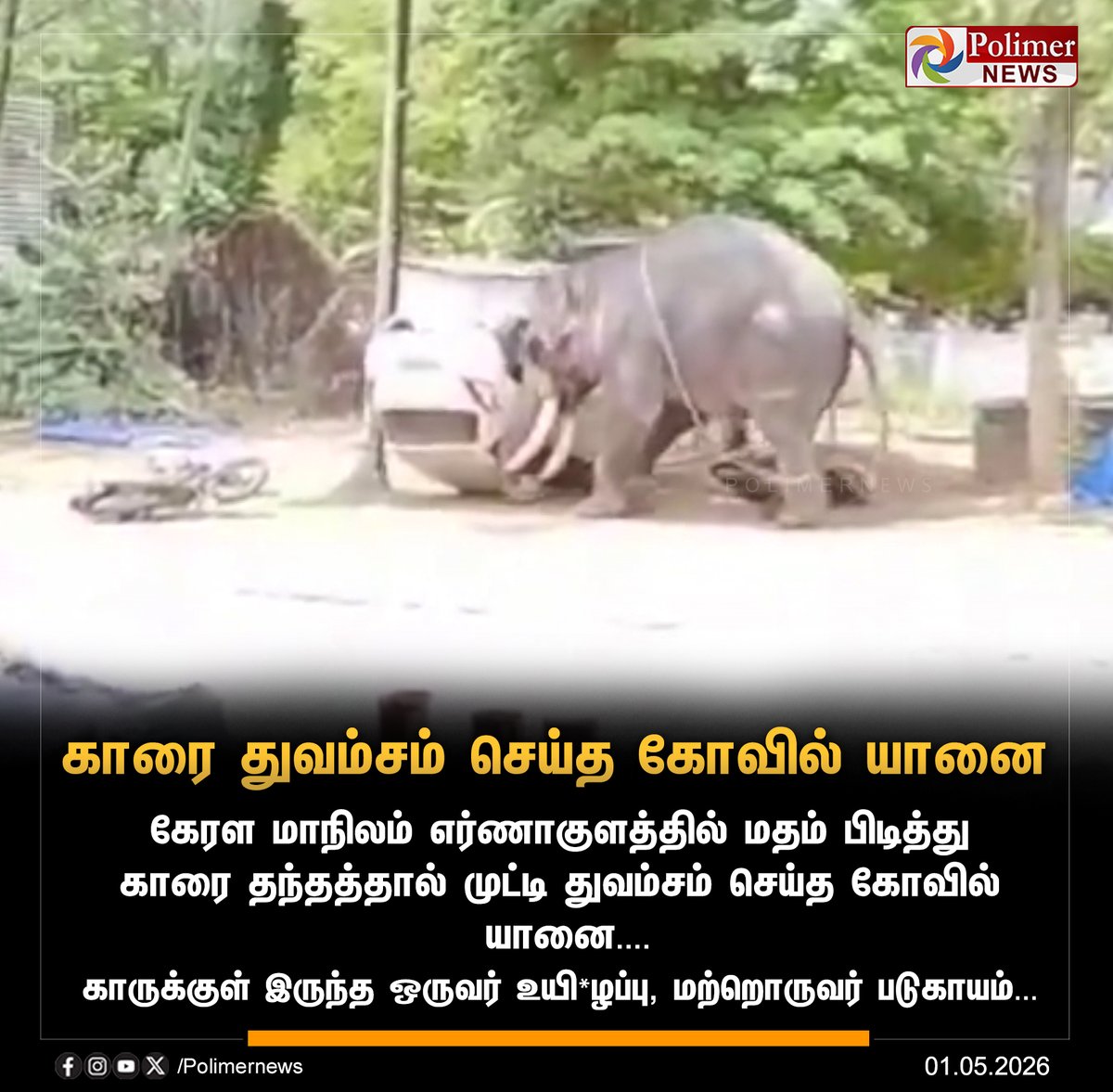 polimernews's tweet image. #JUSTIN || மதம் பிடித்து காரை துவம்சம் செய்த கோவில் யானை | #Elephant | #Car | #Kerala | #PolimerNews