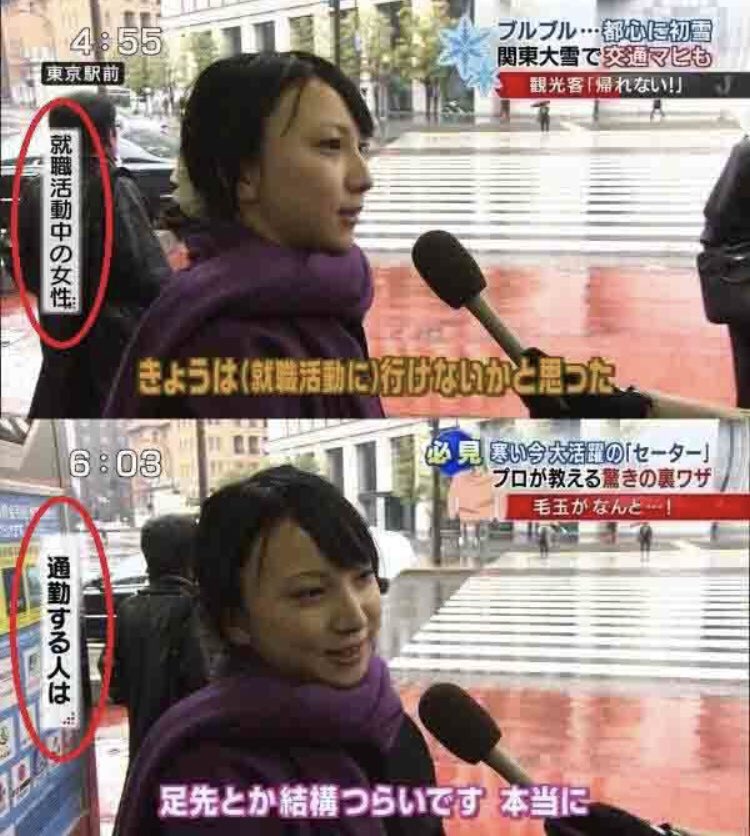⸜(´・ω・)⸝もっふもふ日和の猫好きせいちゃん⸜(´・ω・｀)⸝ tweet media