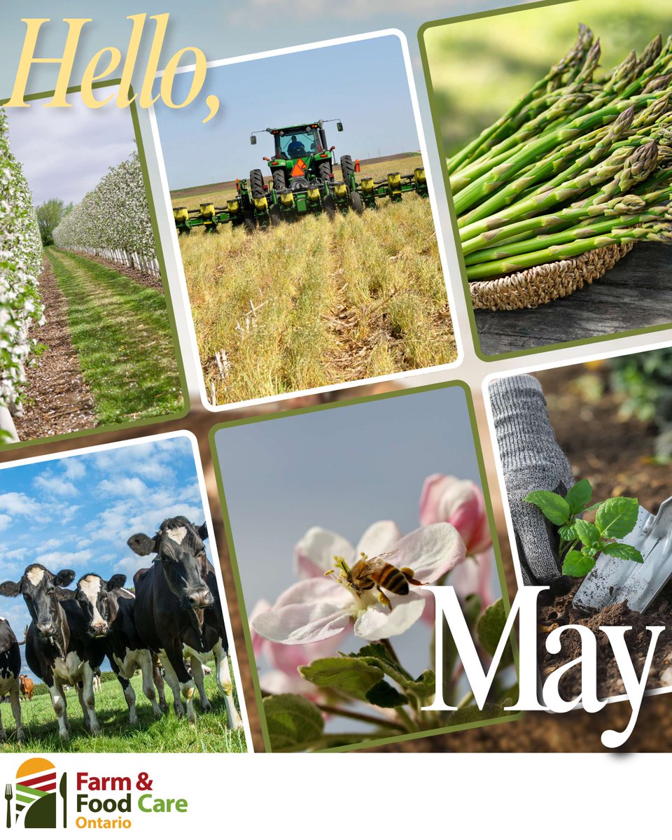 Farm & Food Care Ontario tweet media