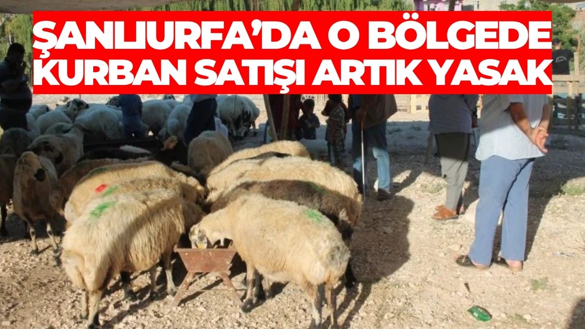 urfanatik_com's tweet image. Şanlıurfa'da O Bölgede Kurban Satışı Artık Yasak 

urfanatik.com/eyyubiye-beled…

#sanliurfa #eyyübiye #sondakika #kurbanbayramı #urfahaber