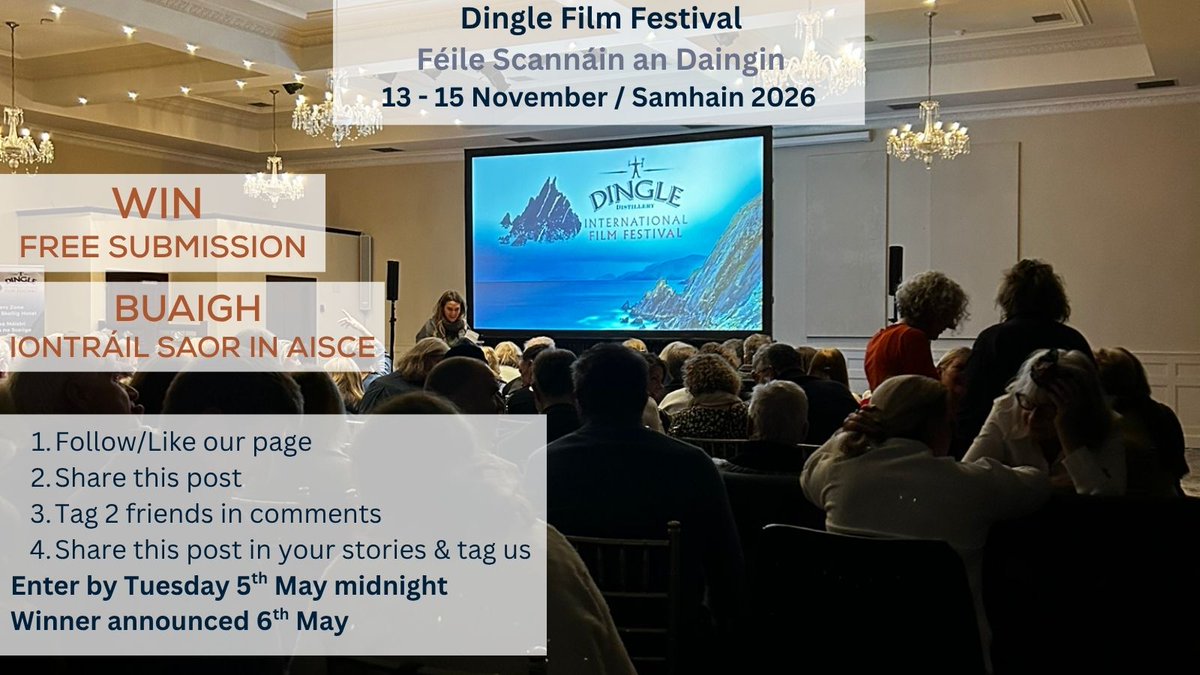 Dingle Film Festival tweet media